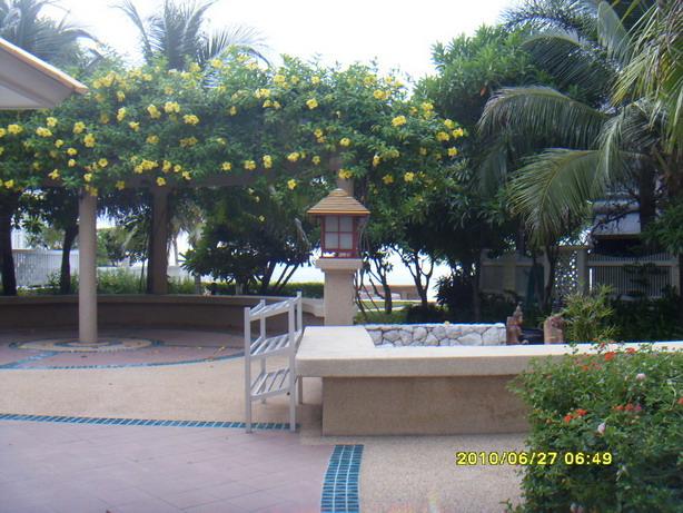 SDC19327.jpg